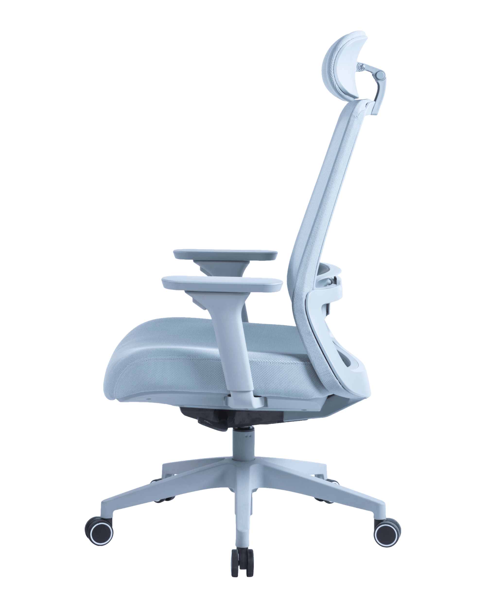 PMS02 Blue-8 - PHAIGINA