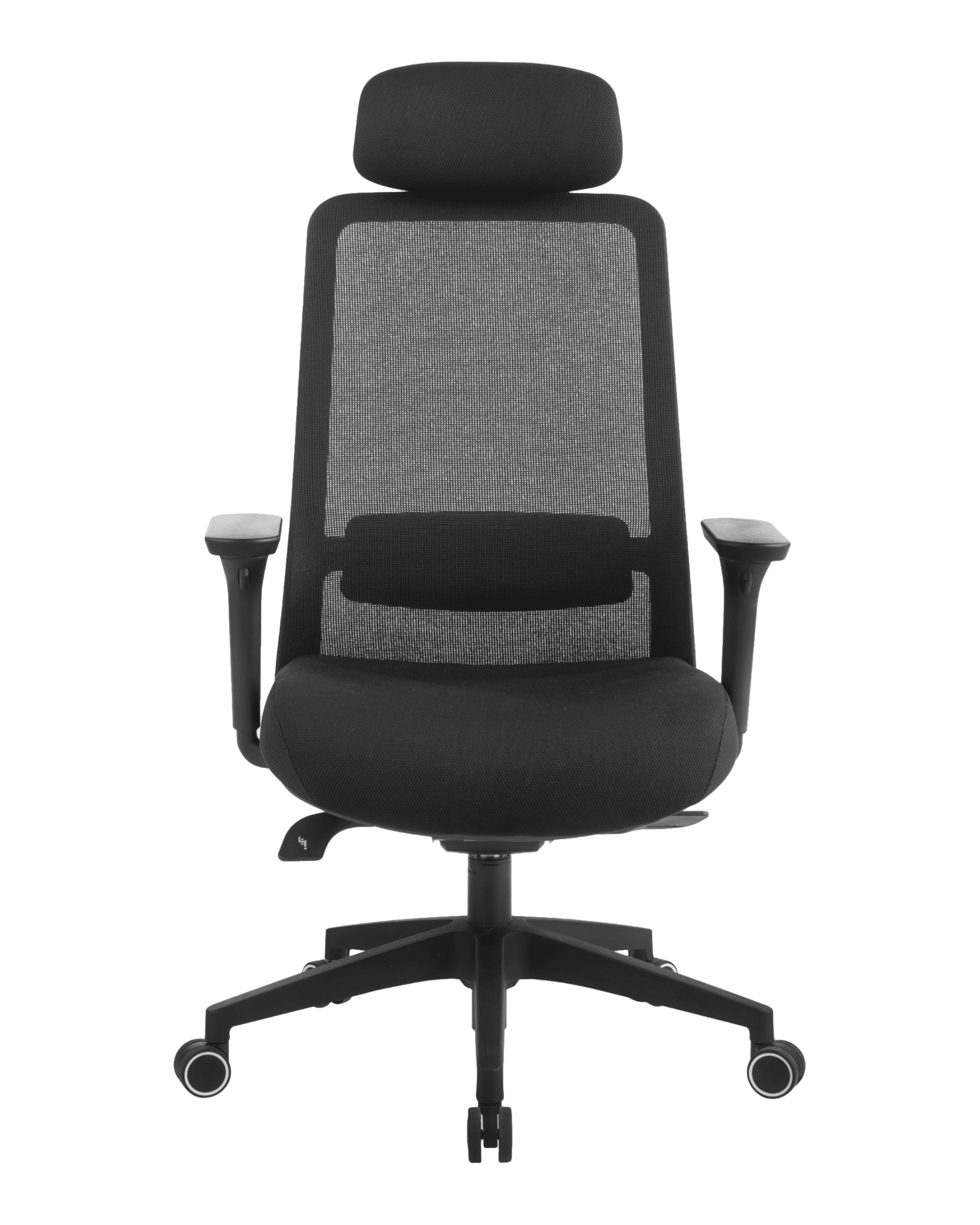 PMS02 Black-2 - PHAIGINA