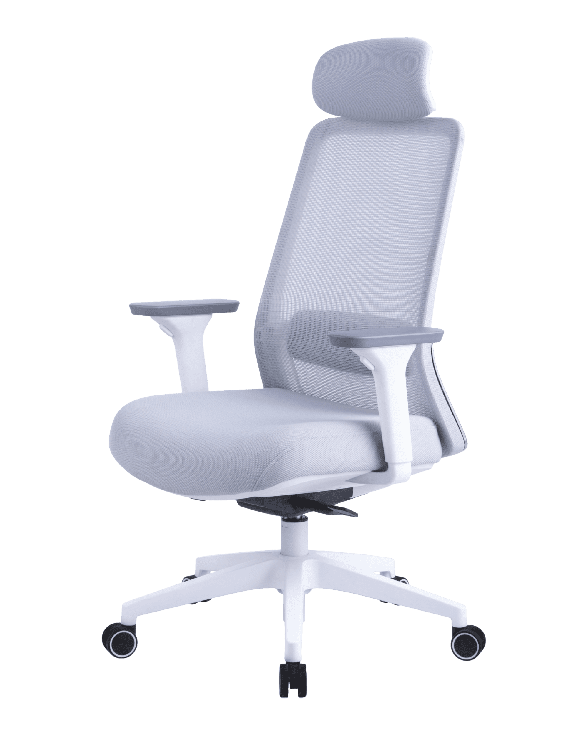 PMS02 White-1 - PHAIGINA