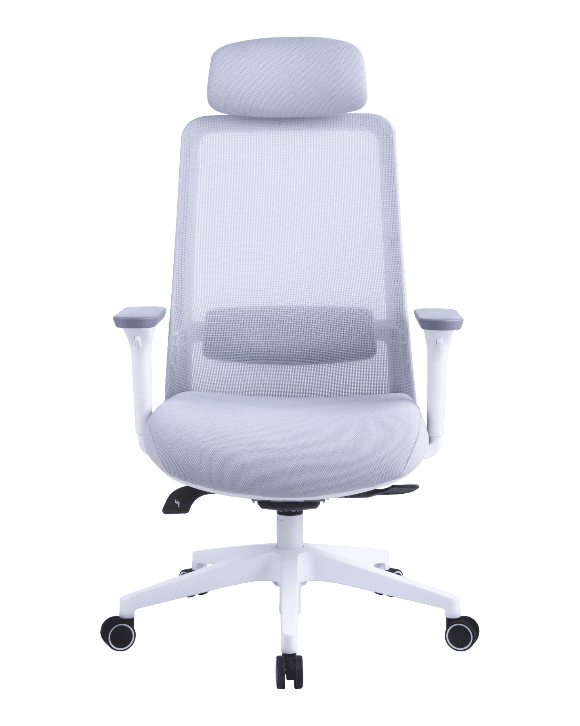 PMS02 White-2 - PHAIGINA