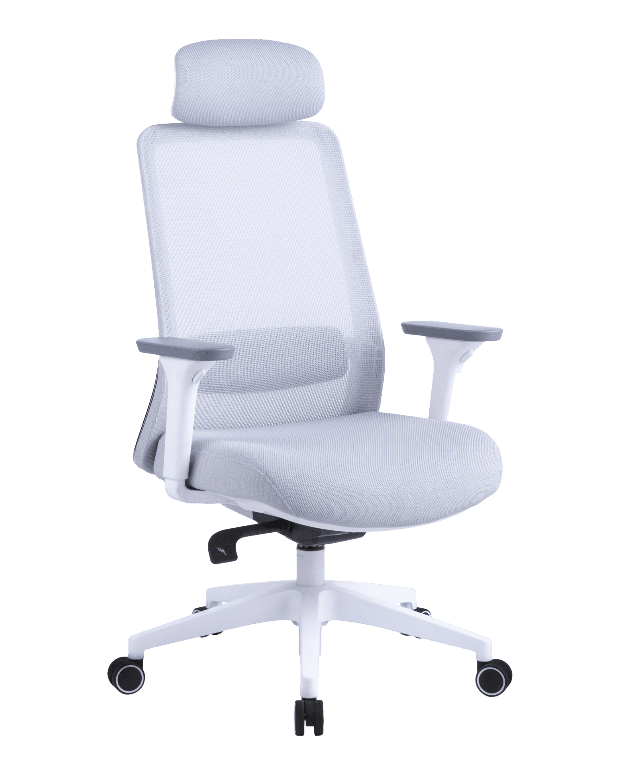 PMS02 White-3 - PHAIGINA