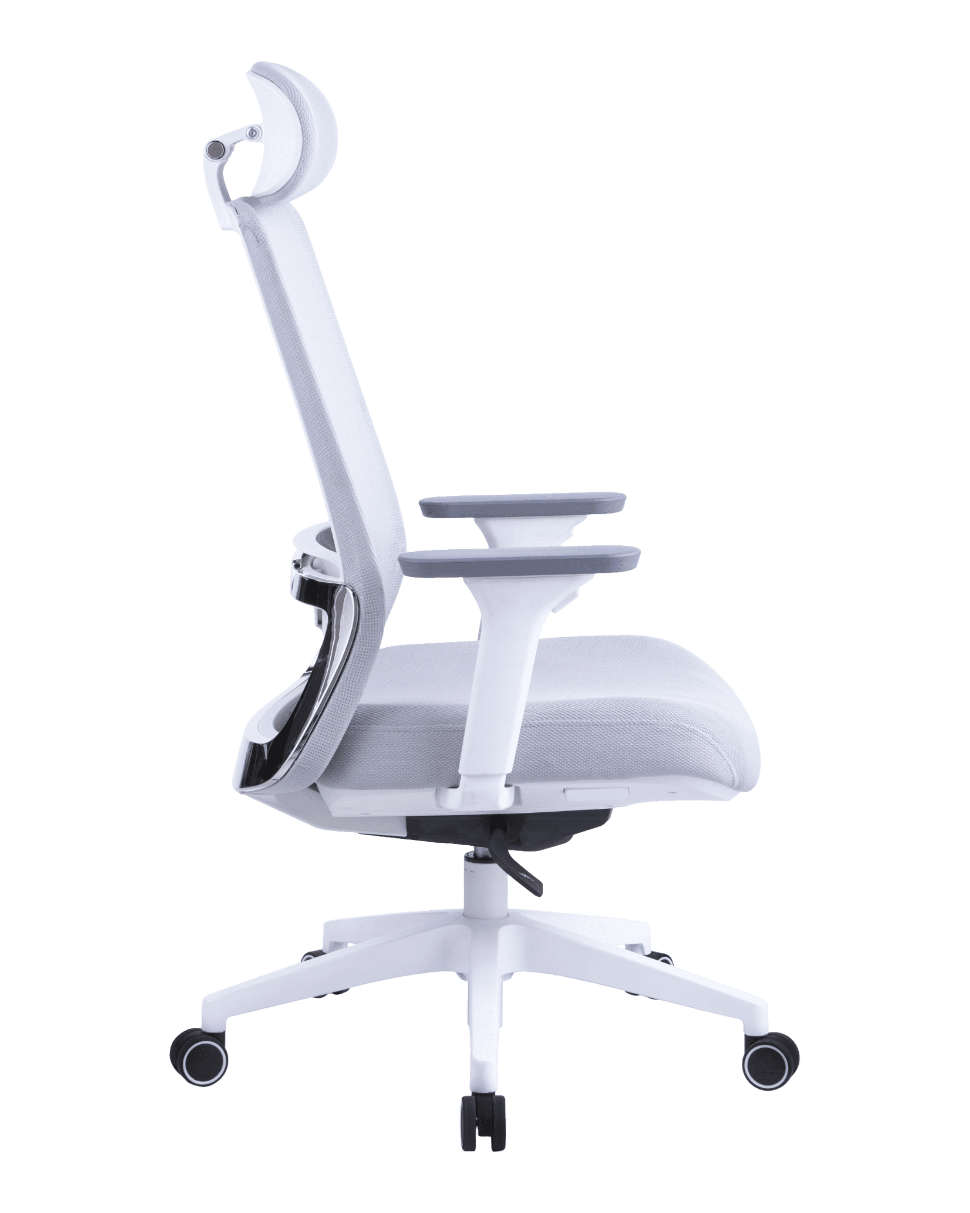 PMS02 White-4 - PHAIGINA