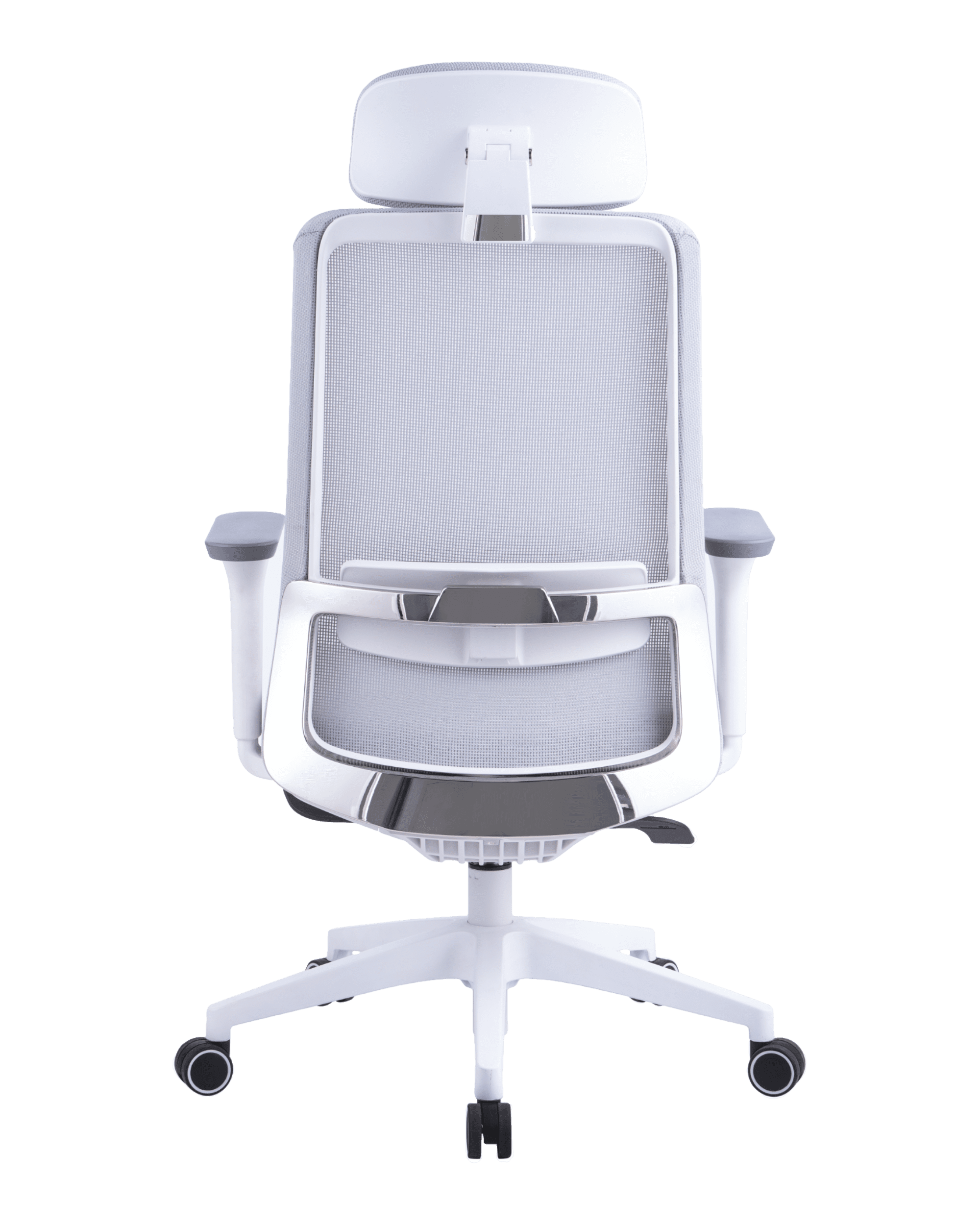 PMS02 White-6 - PHAIGINA