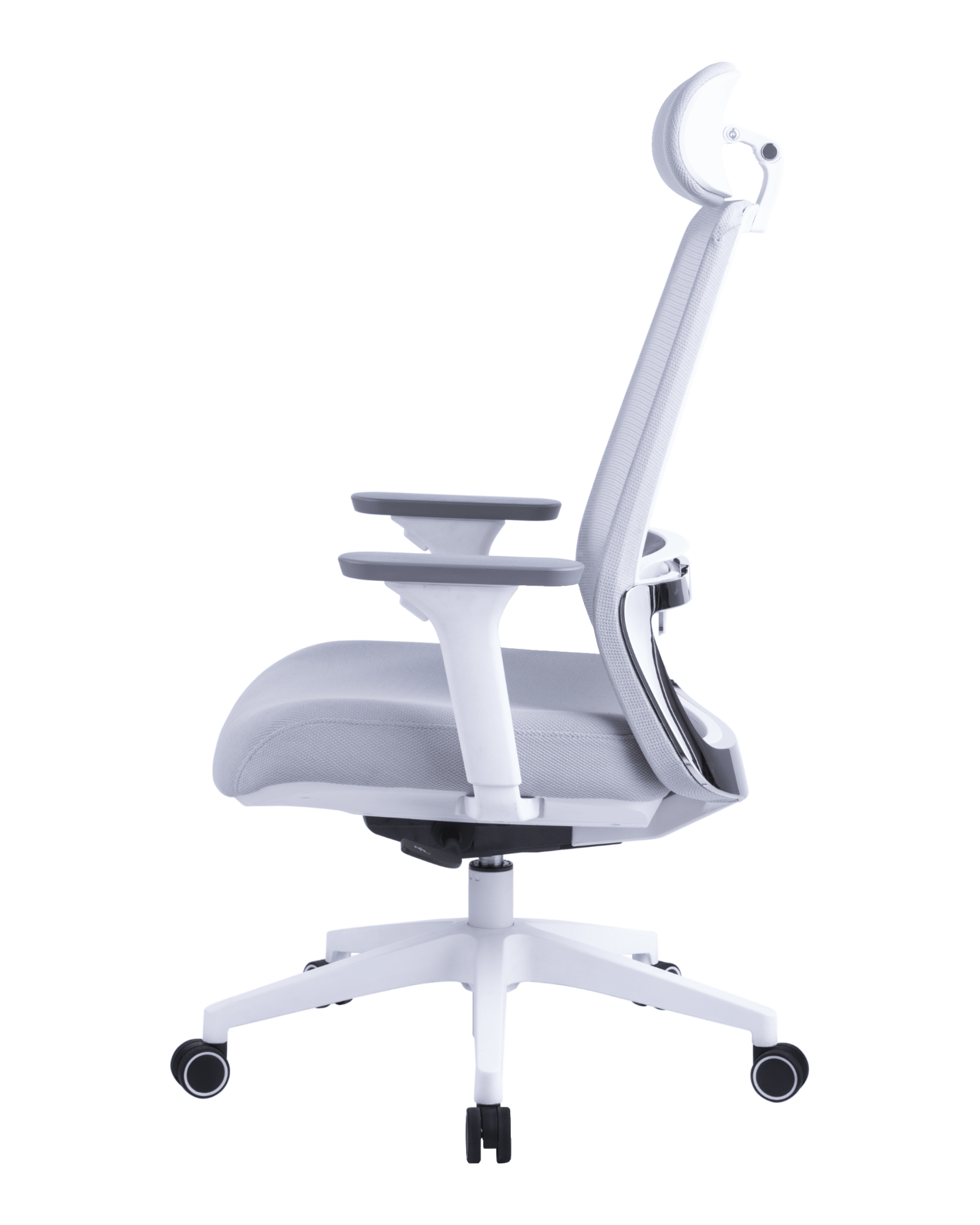 PMS02 White-8 - PHAIGINA