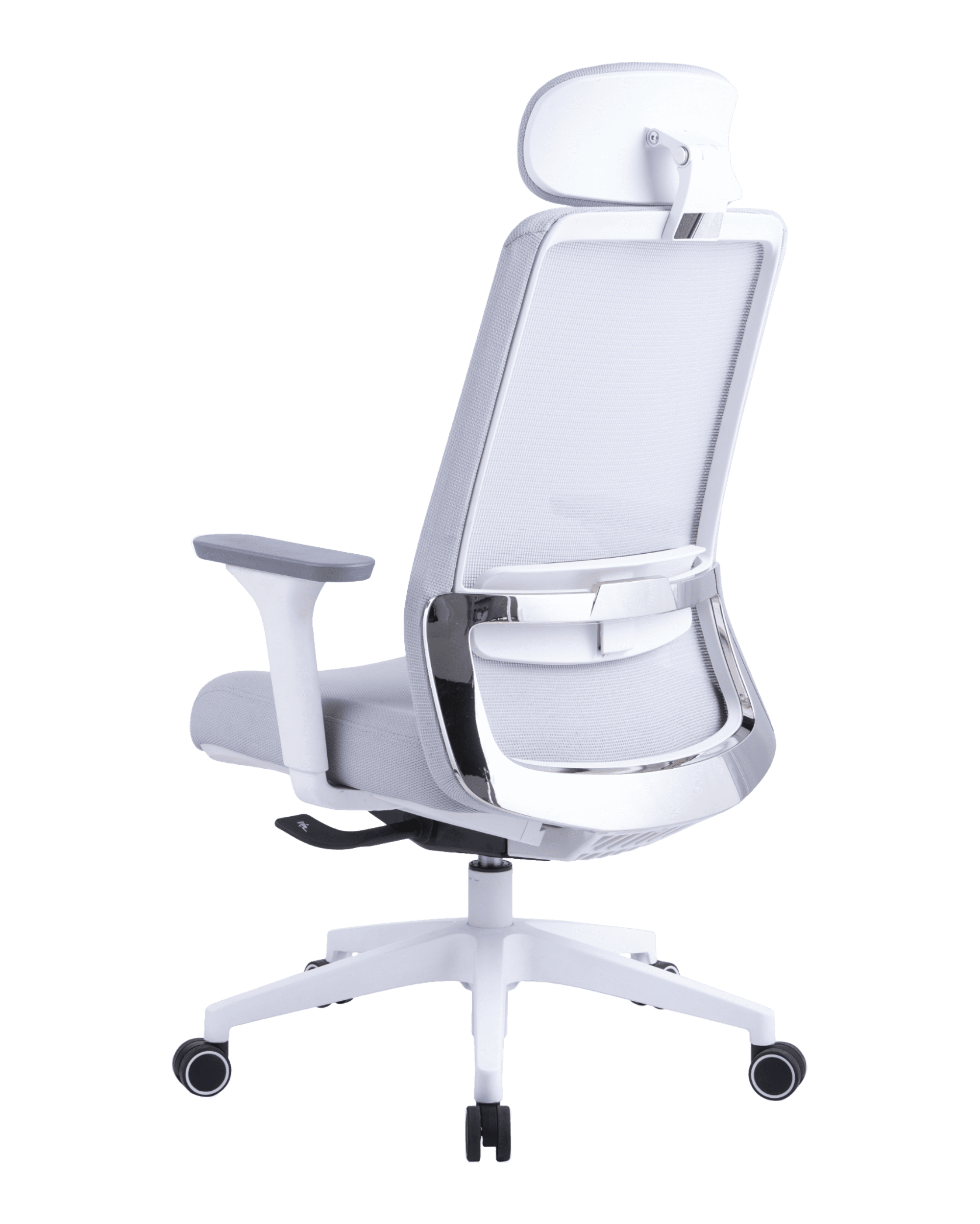 PMS02 White-7 - PHAIGINA